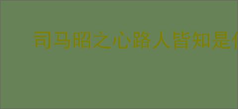 司马昭之心路人皆知是什么意思