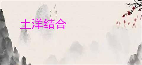 土洋结合