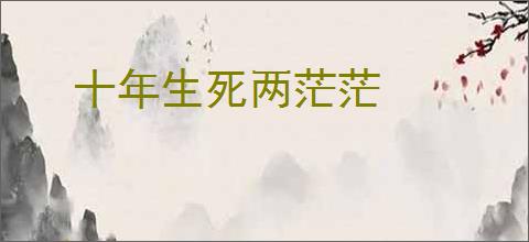 十年生死两茫茫