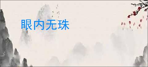 眼内无珠