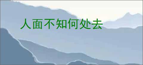 人面不知何处去