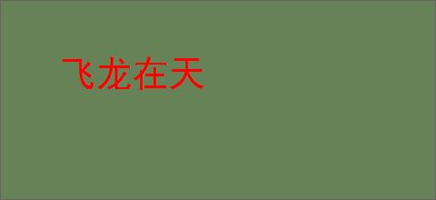 飞龙在天
