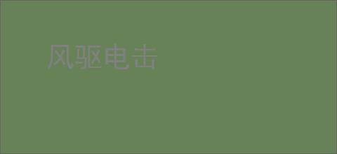 风驱电击