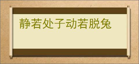 静若处子动若脱兔