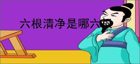 六根清净是哪六根