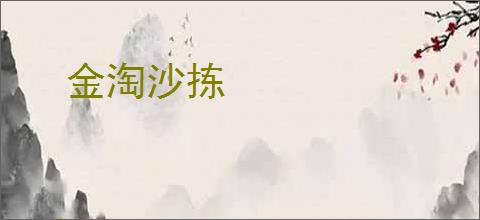 金淘沙拣